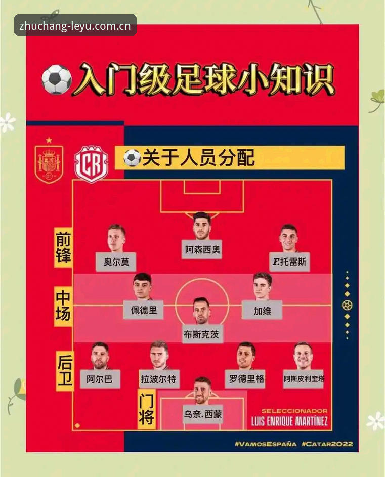 主场尽在掌控足球比分攻略：一个老用户手把手教你玩转2026版本